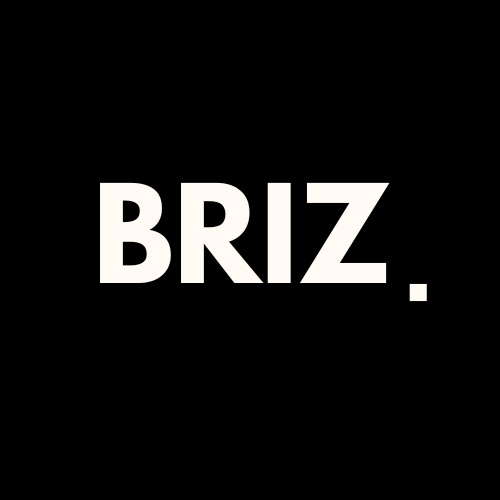 BRIZCOIN Logo